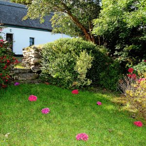 Roads Cottage 09, Garden, Rent an Irish Cottage with Sea View along the Wild Atlantic Way in Kerry