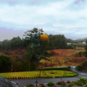 Holiday Home, Kerry, Ireland, Dellwood Lodge 11, Garden 7 a rainy day, Rent an Irish Cottage with Sea View along the Wild Atlantic Way in Kerry, VRBO