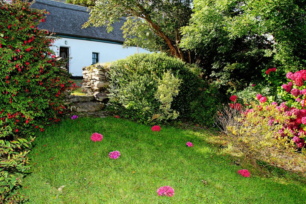 Ferienhaus, Kerry, Irland, Roads Cottage, Garten, Ferienhäuser mit Meerblick mieten in Irland - Cottages mit Seeblick mieten entlang des Ring of Kerry in Irland