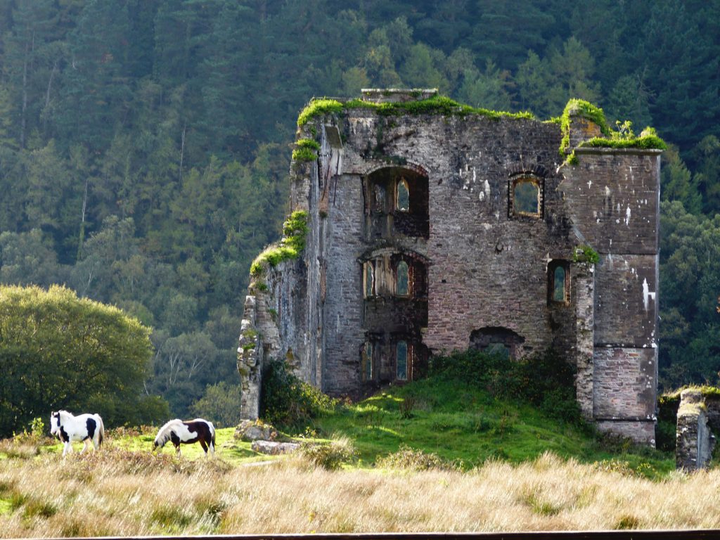 Die Schlossruine vor dem Ferienhaus Castle View in Glenbeigh in Kerry, Irland.